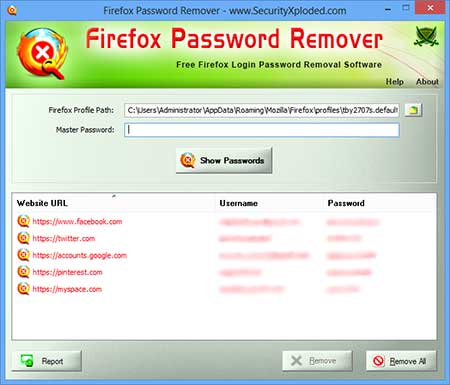 FirepasswordViewer showing the sign-on information